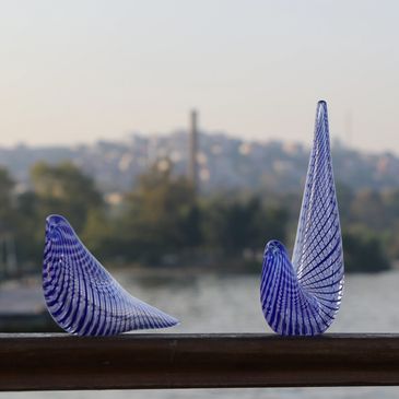 Çeşmi Bülbül, Cam kuş, Dik kuyruk, İstanbul Kuşları