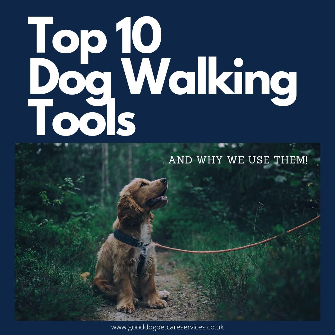 Top Recommended Dog Walking Tools/Essentials for Owners and Pro's Top Recommended Dog Walking Tools/Essentials for Owners and Pro's