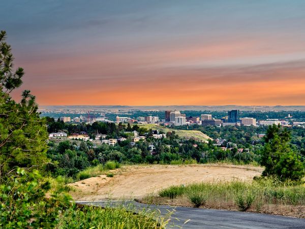 Sunset over a city skyline with greenery in the foreground.