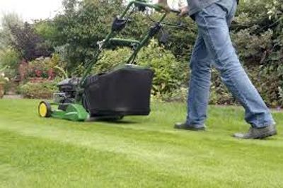 home cleaning, office cleaning, commercial cleaning