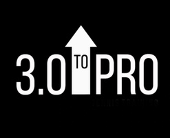3.0 to Pro