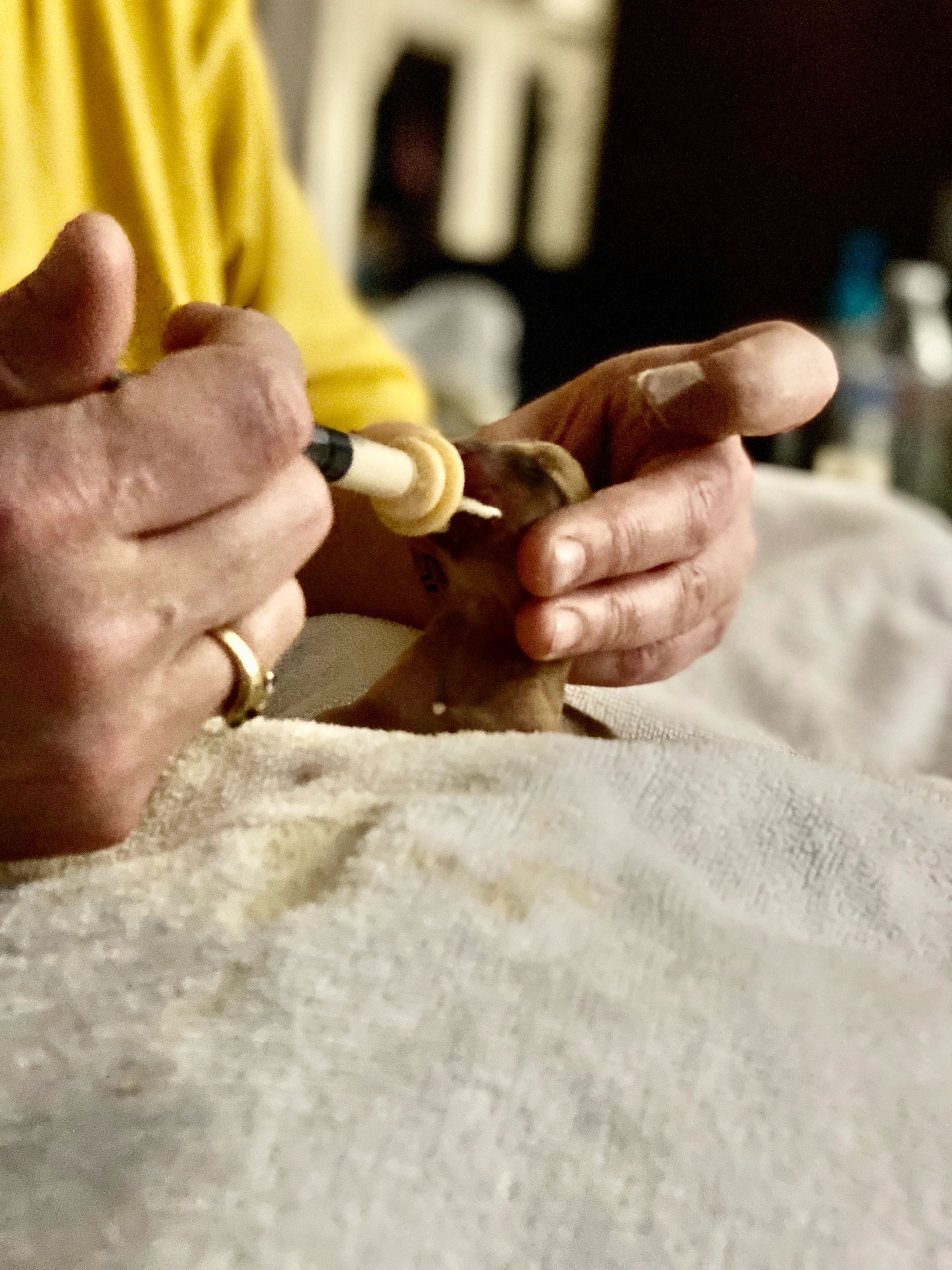 Bottle feeding the runt