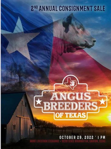 angus breeders of texas oct 29, 2022 catalog cover