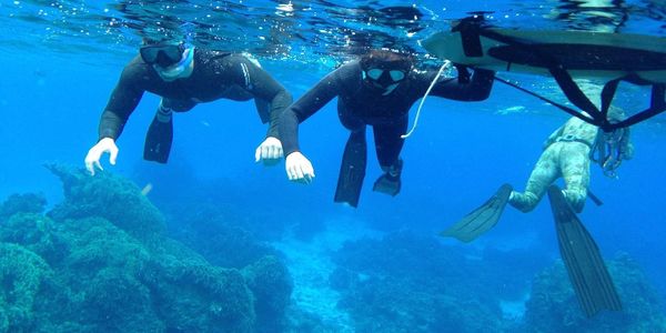 Freedive Cozumel