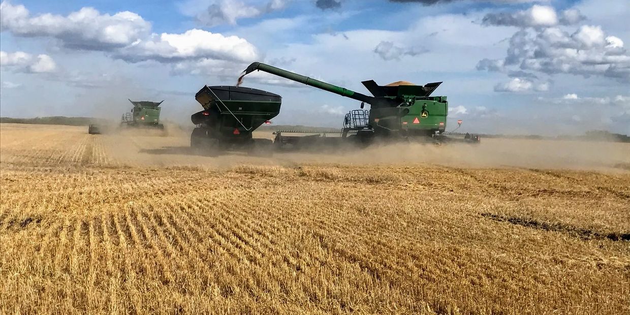 Green combines harvesting wheat in a dusty field under a partly cloudy sky.