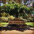 Cootamundra, NSW
One of many Bill's Horse Troughs located throughout the Riverina