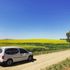 Cootamundra, NSW
Canola fields off the Olympic Highway