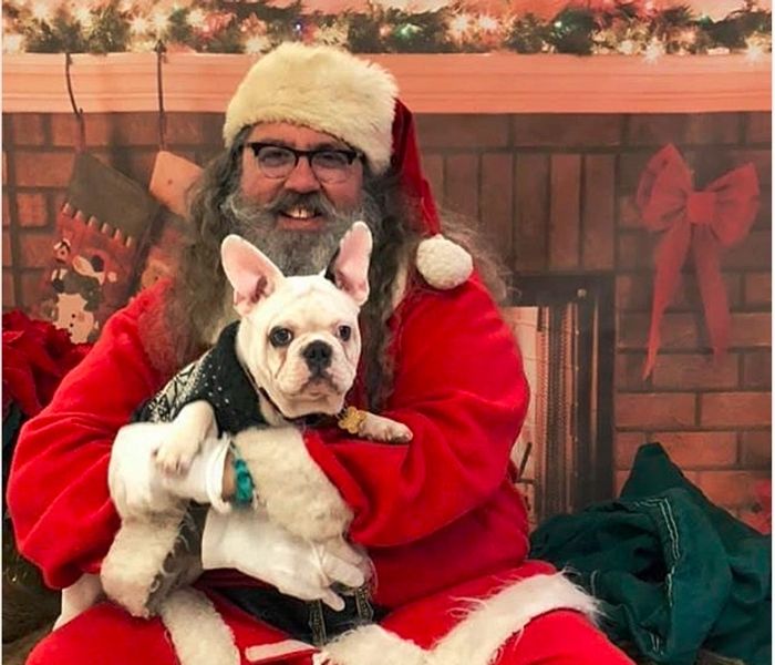 French Bulldogs East Coast French Bulldogs Planet