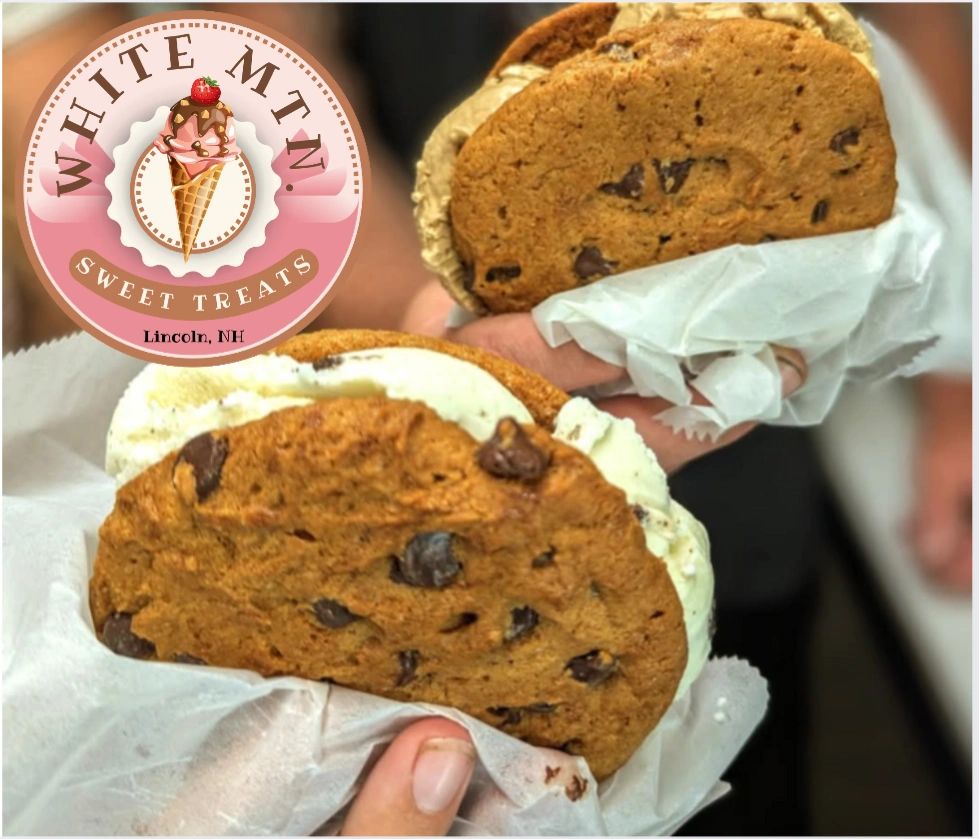Ice cream sandwiches!