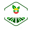 Myanmar Asian Market