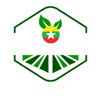Myanmar Asian Market