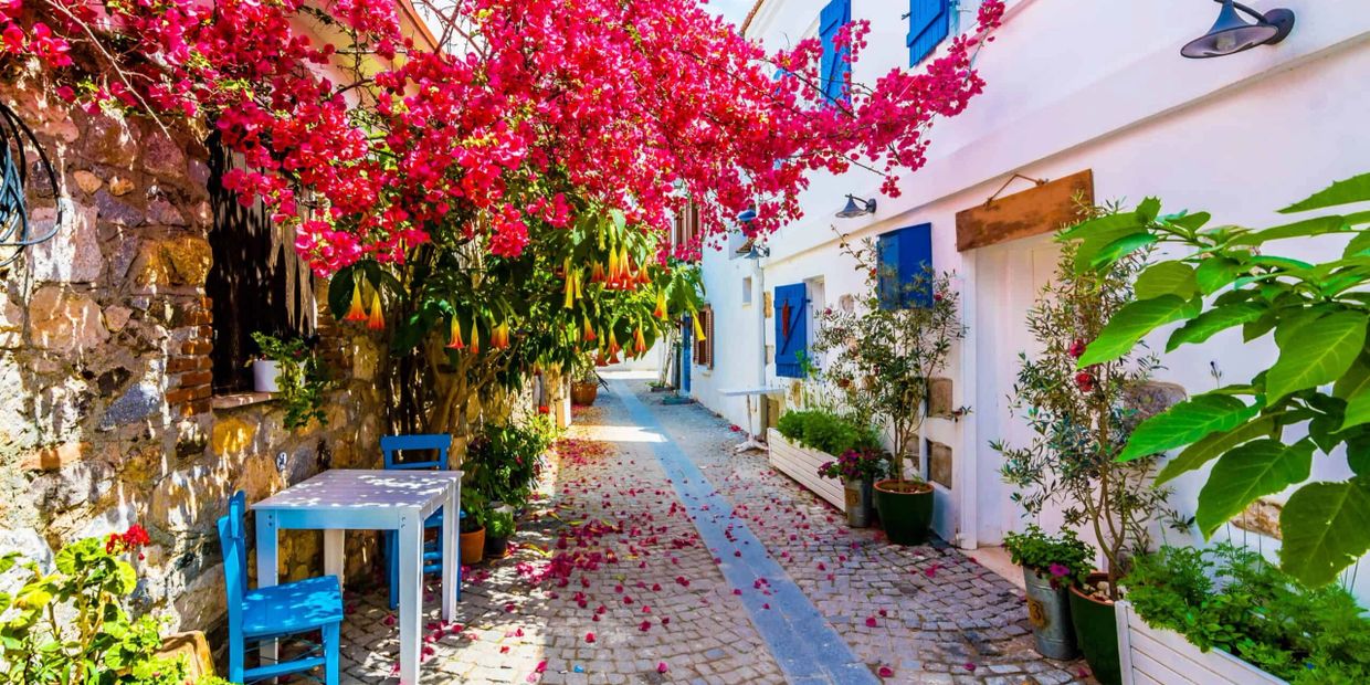 Charming cobblestone street with vibrant pink flowers and blue accents.