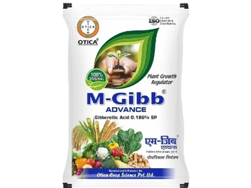 M-GIBB® ADVANCE