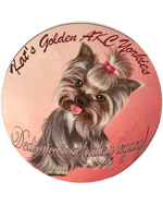 Kat’s Golden AKC Yorkies