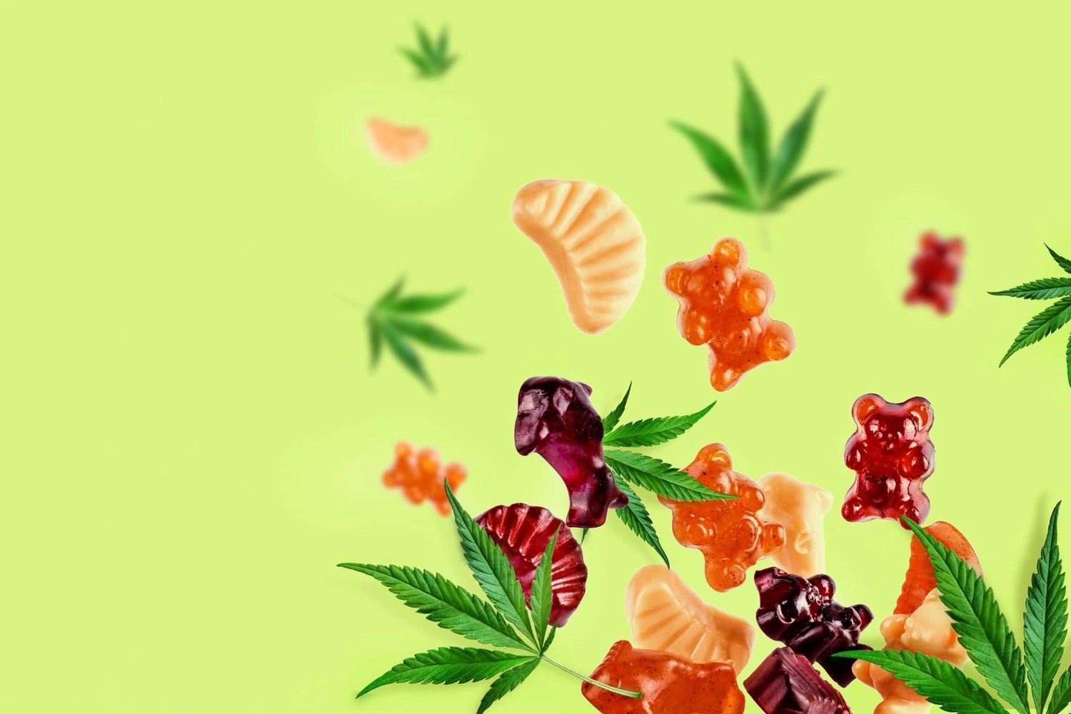 Serena Leafz CBD Gummies Canada