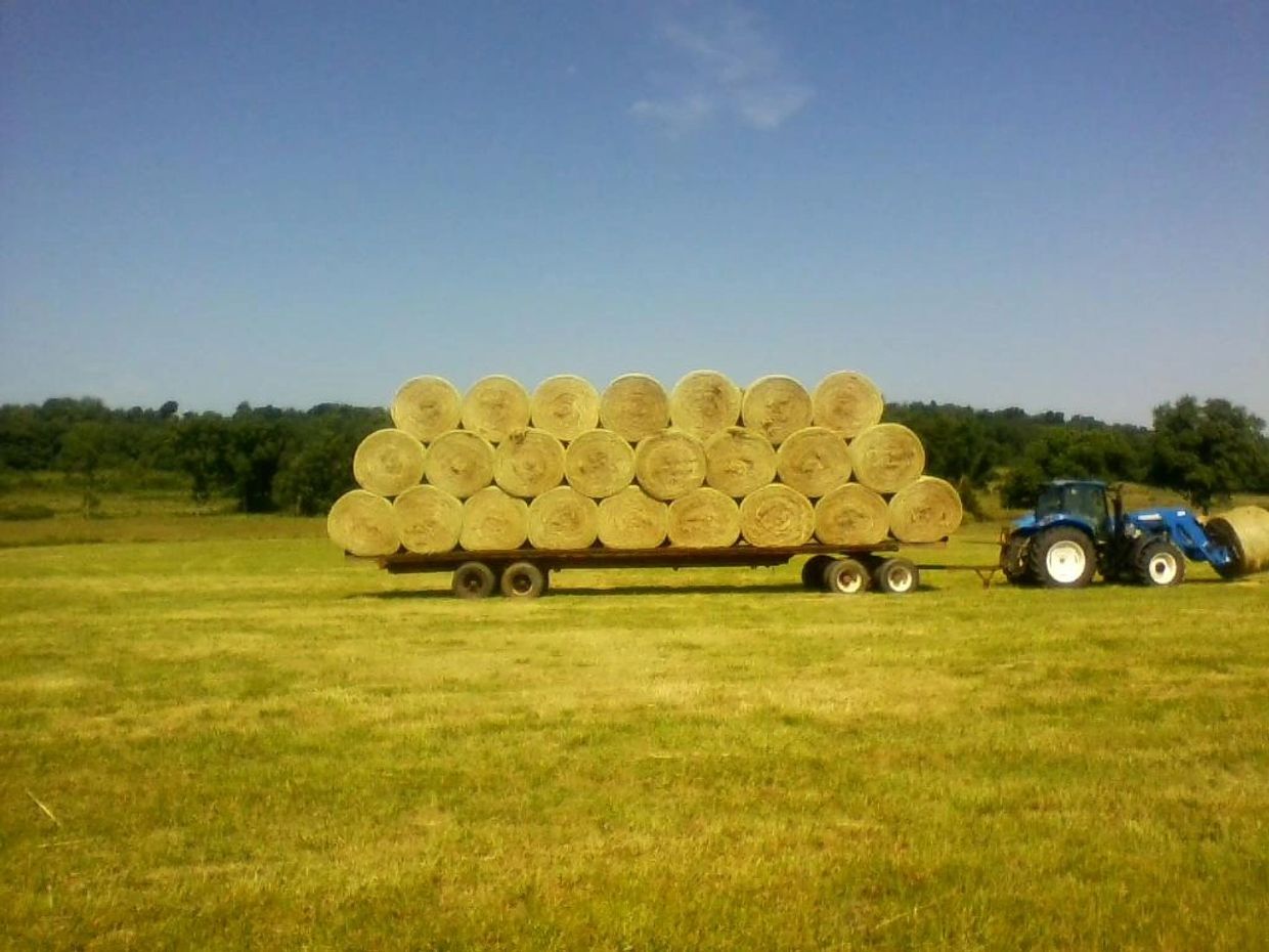 Big Round Hay Bales for sale
Moore Farms