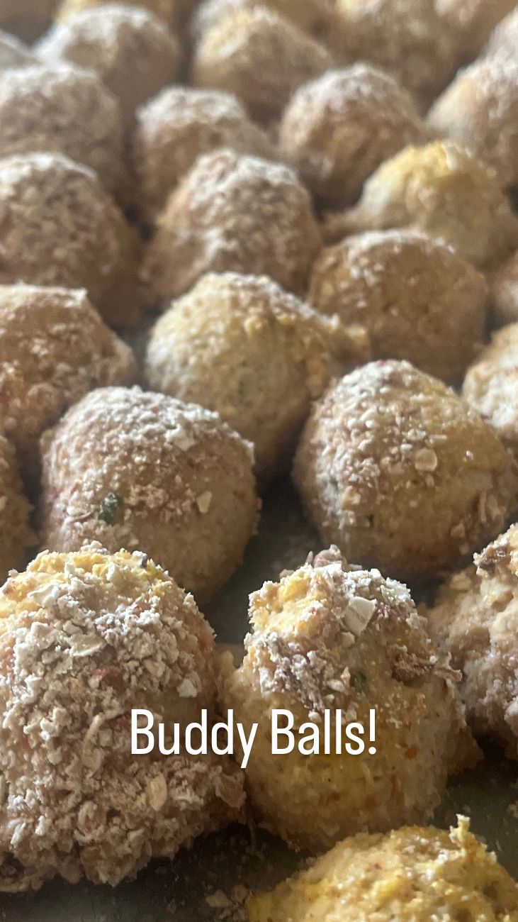 Buddy Balls a customer favorite!
Are little nuggets of goodness
Organic: Oats, Coconut flour, pumpki