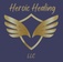 Heroic Healing LLC