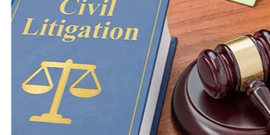 · Civil matters

· Contract and commercial disputes

· Debt recovery, bankruptcy and insolvency

· Enforcement of judgment

· Statutory demand