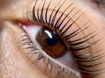 Close-up of a brown eye with long eyelashes.