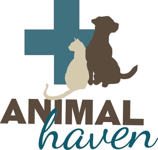 Animal Haven - Veterinary Clinic, Pet Boarding, Pet Grooming
