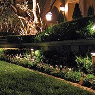 Well-lit garden with lush greenery and pathway lights at night.