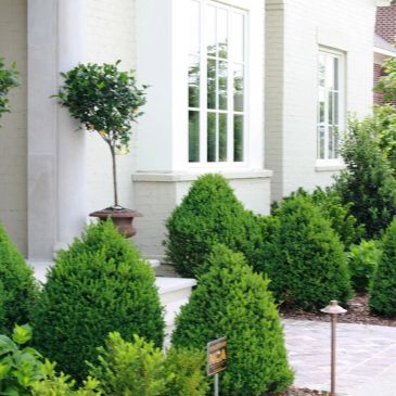 Well-manicured garden with lush green bushes in front of a white house.