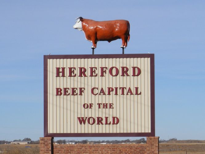 Hereford Texas Hereford Economic Development Corporation Hereford