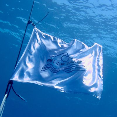 Flagge Unterwasser