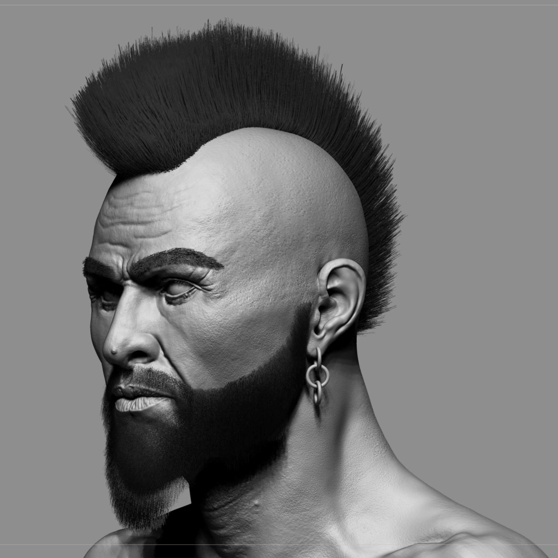 //img1.wsimg.com/isteam/ip/0e3a855a-53aa-477c-b0e8-03c2bc7709e6/MaleHeadHohawk.jpg/:/rs=w:1300,h:800