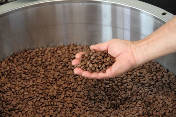 Country Samurai Coffee-Kona Square