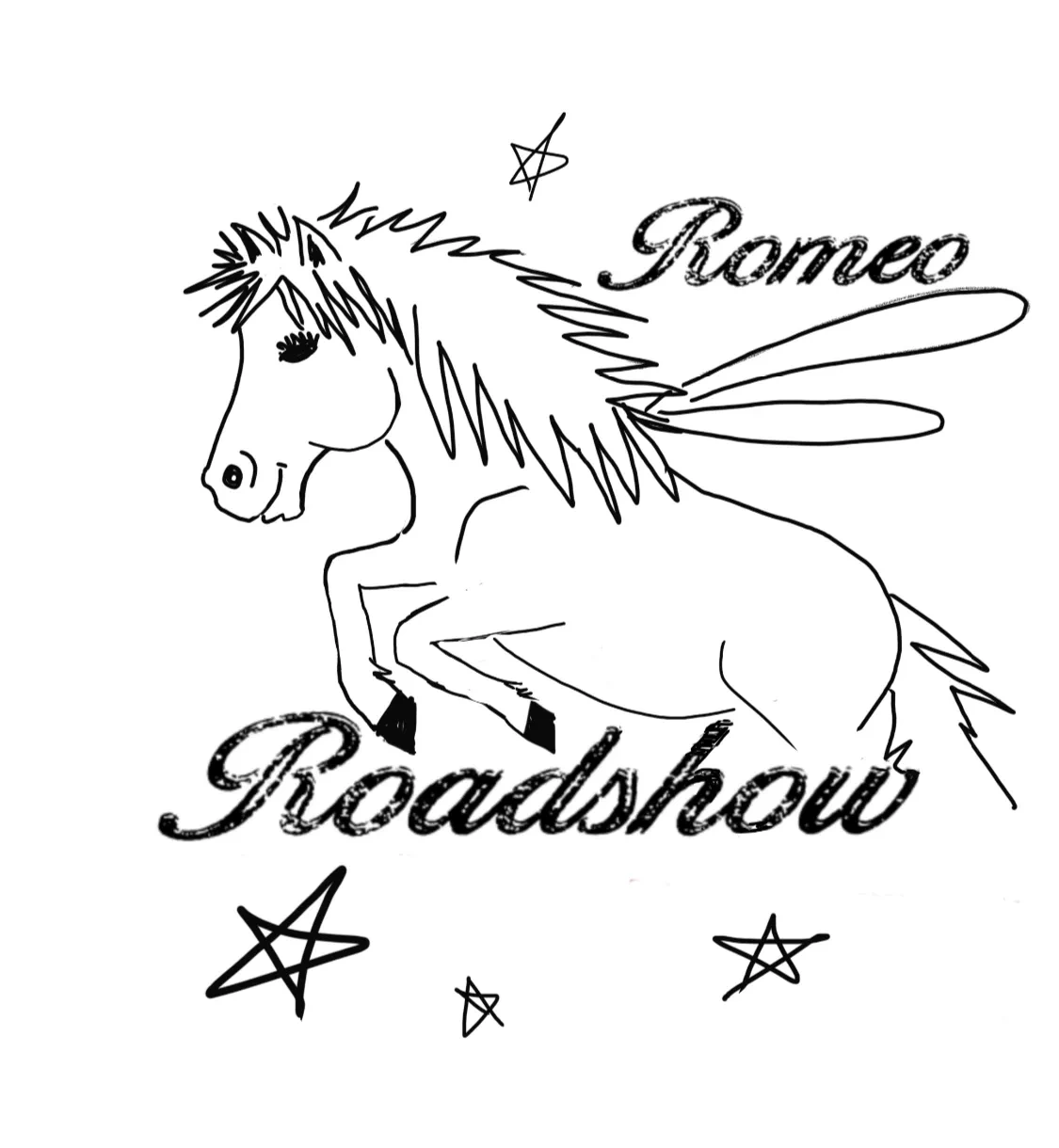 Equine Therapy Programs for Community Engagement