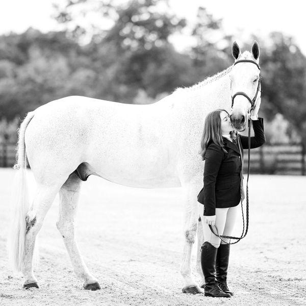 Our love of animals drives our passion for high quality horse care.