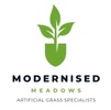 Modernised Meadows