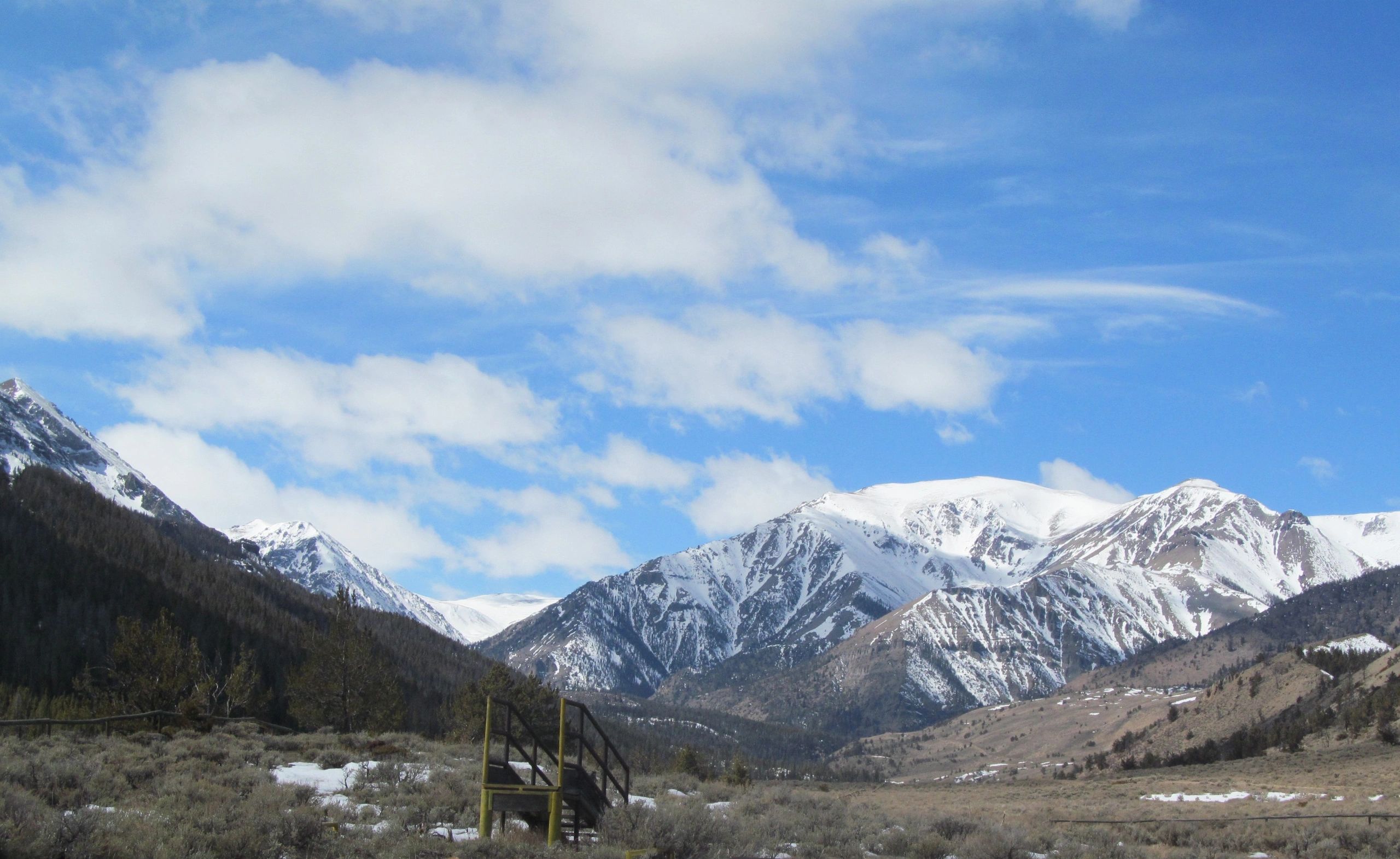 Shoshone National Forest