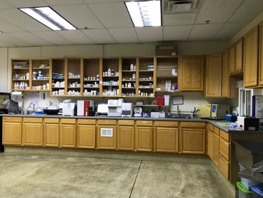 In-house laboratory and pharmacy