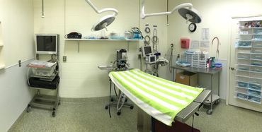 Our surgical suite