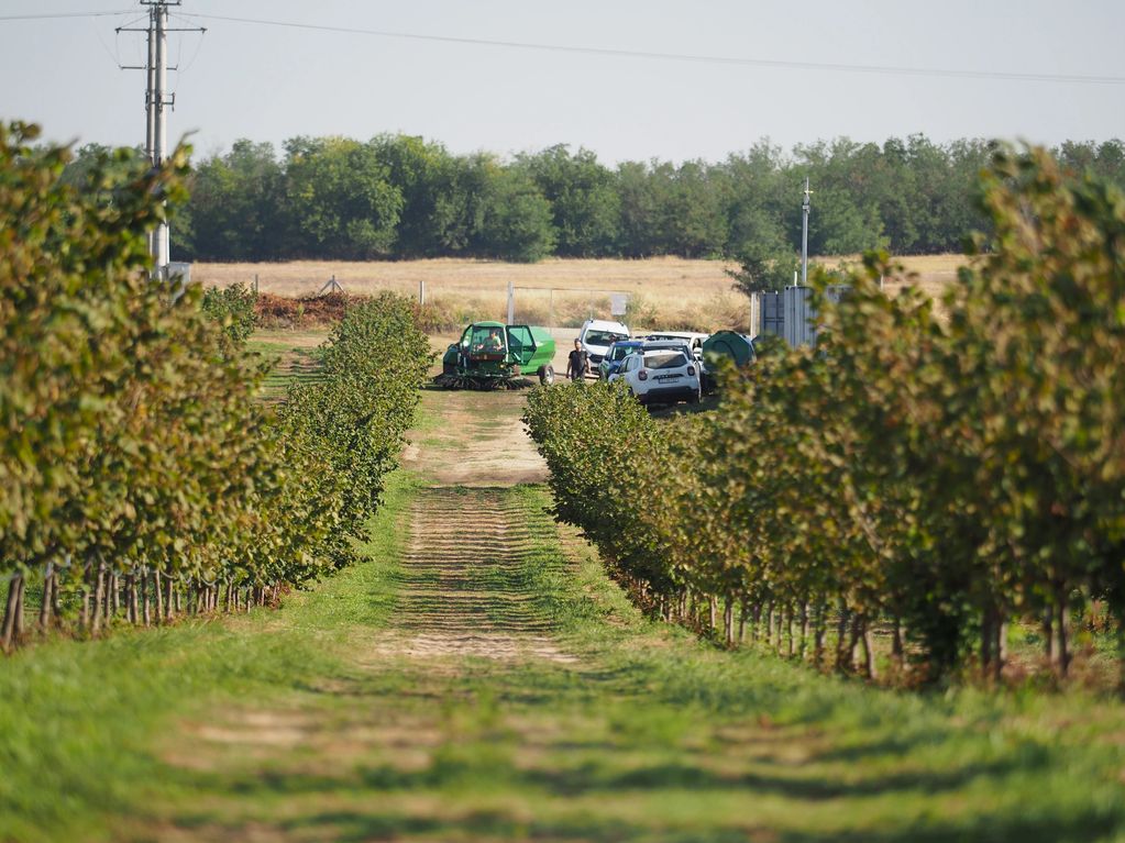 People and vehicles on a path surrounded by trees and fields.