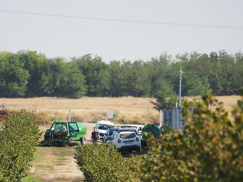People and vehicles on a path surrounded by trees and fields.
