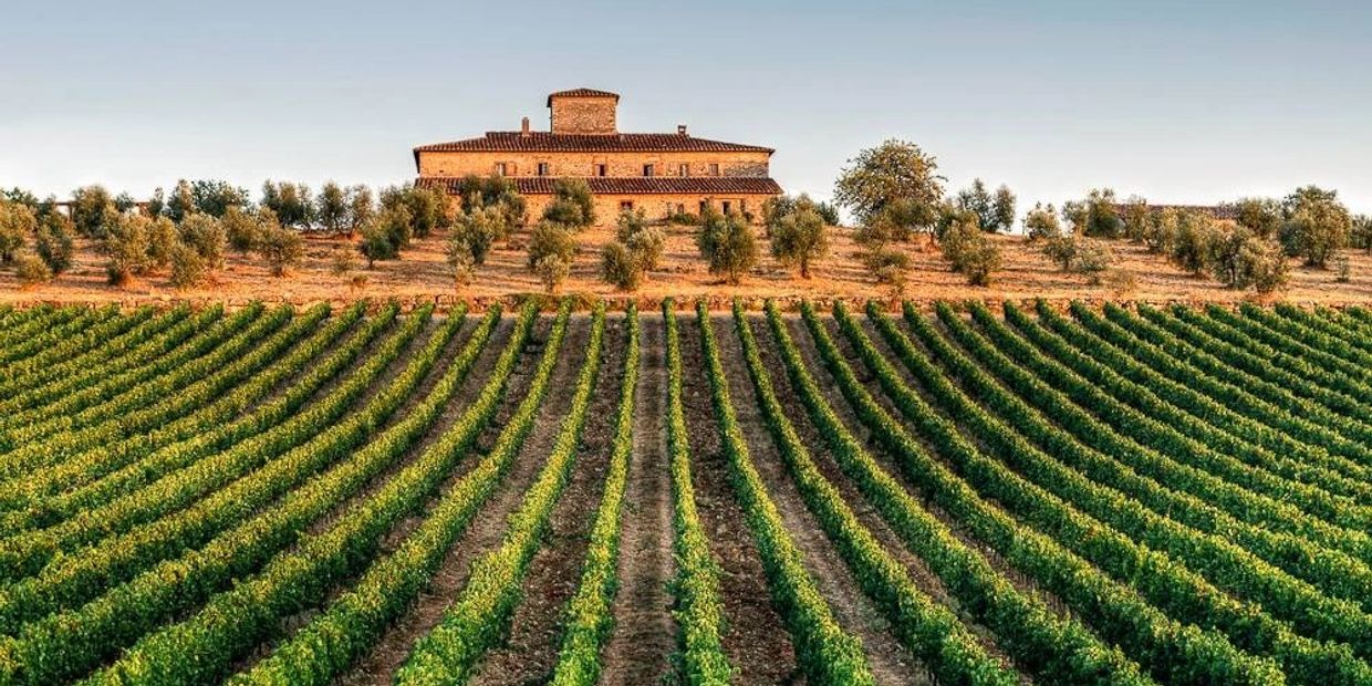 food & wine tours italy