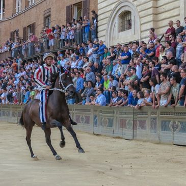 Jockey in traditional outfit riding horse in front of large crowd.
