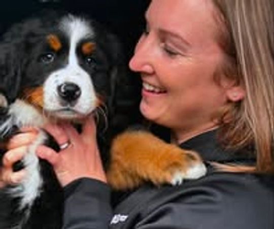 Woman joyfully holds a fluffy Bernese Mountain Dog puppy.