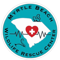 Myrtle Beach Wildlife Rescue Center