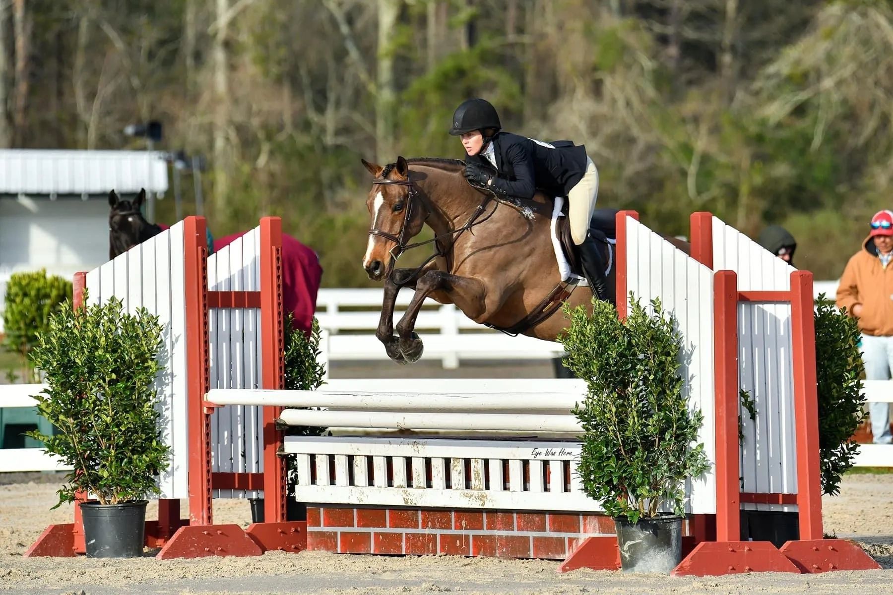 Hunter Jumper Barclay Equestrian