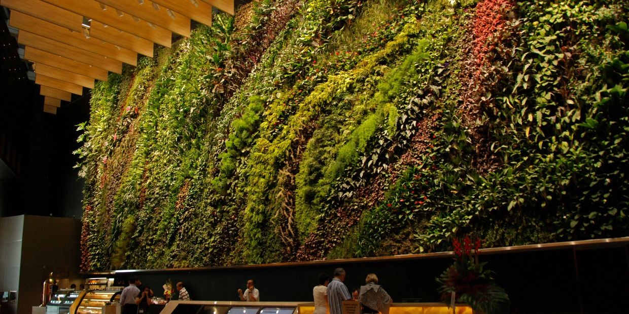 India's best Hydroponic based Living Walls/Green Walls/vertical gardens for any interior or exterior
