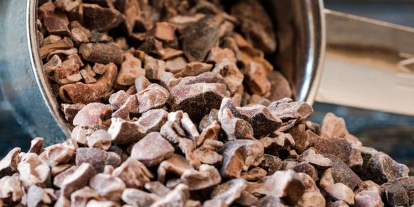 Close-up of cacao nibs spilling from a metal scoop.