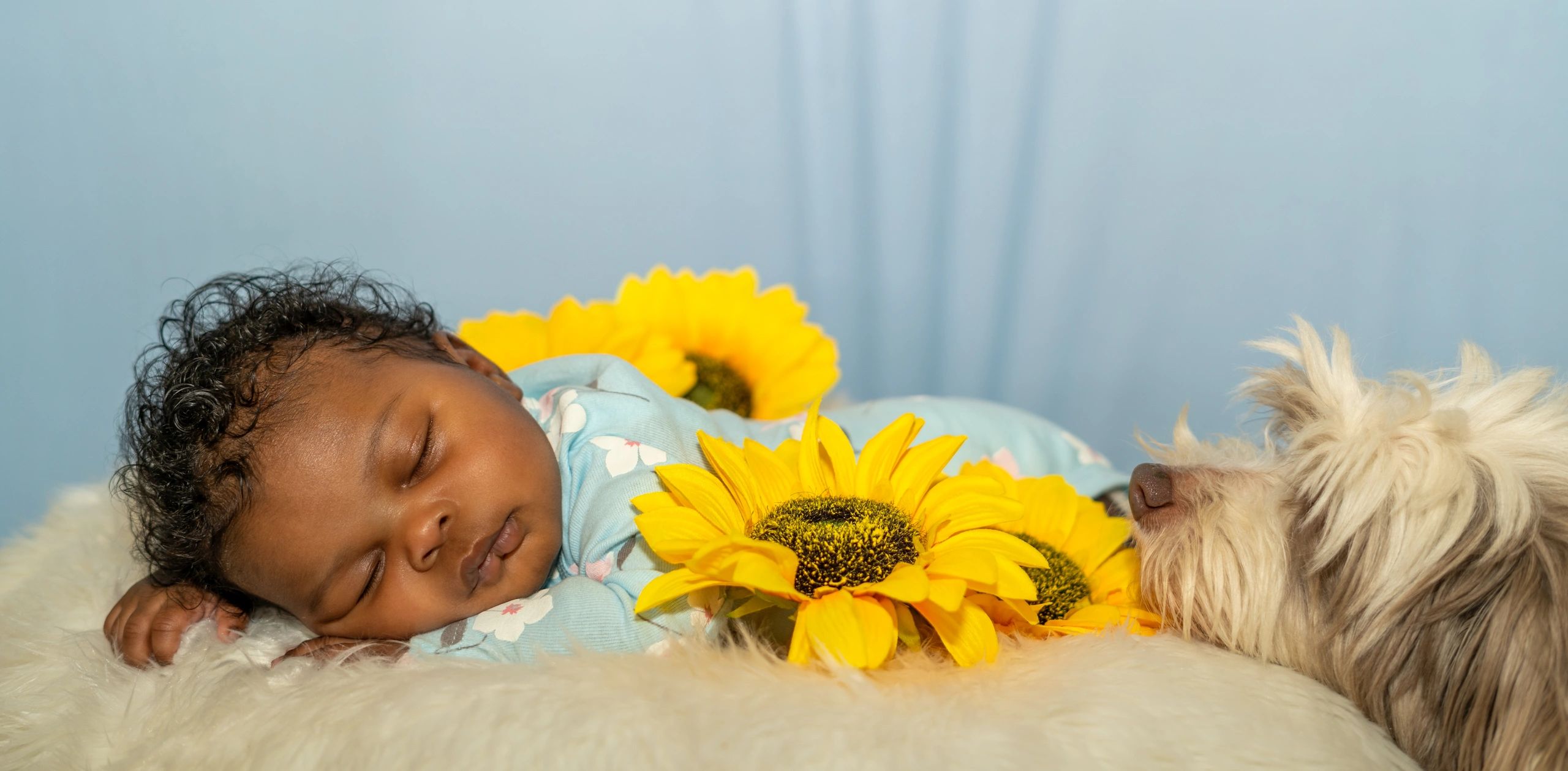 2 month old baby shoot