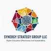 Synergy Strategy Group LLC