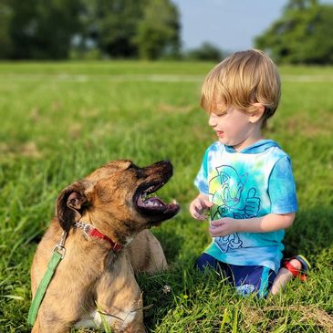 A tan dog smiling at a young boy with blonde hair, both are sitting in the grass