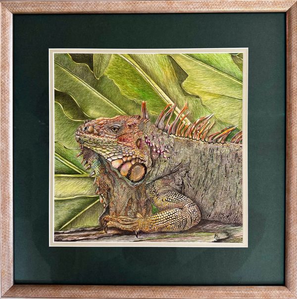 Tropical Iguana work